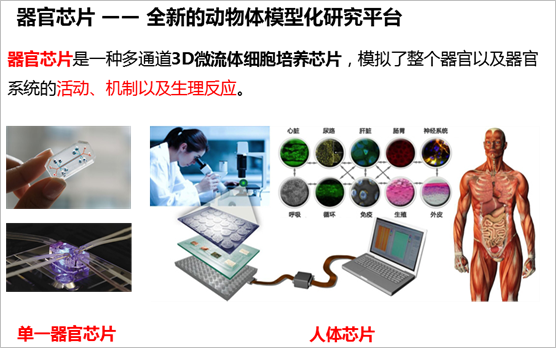 文章配图:【超详细】微流控芯片——注定要被深度产业化的科学技术