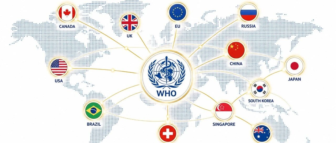 全球仅12家,WHO首批医疗器械权威机构名单出炉,中国NMPA入选、拉美仅ANVISA上榜,监管互认时代加速到来