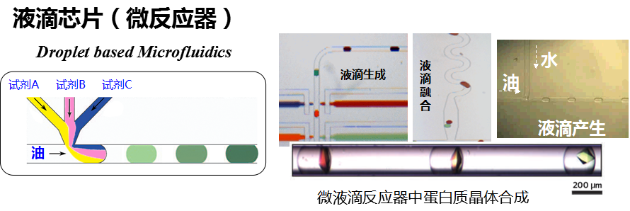文章配图:【超详细】微流控芯片——注定要被深度产业化的科学技术