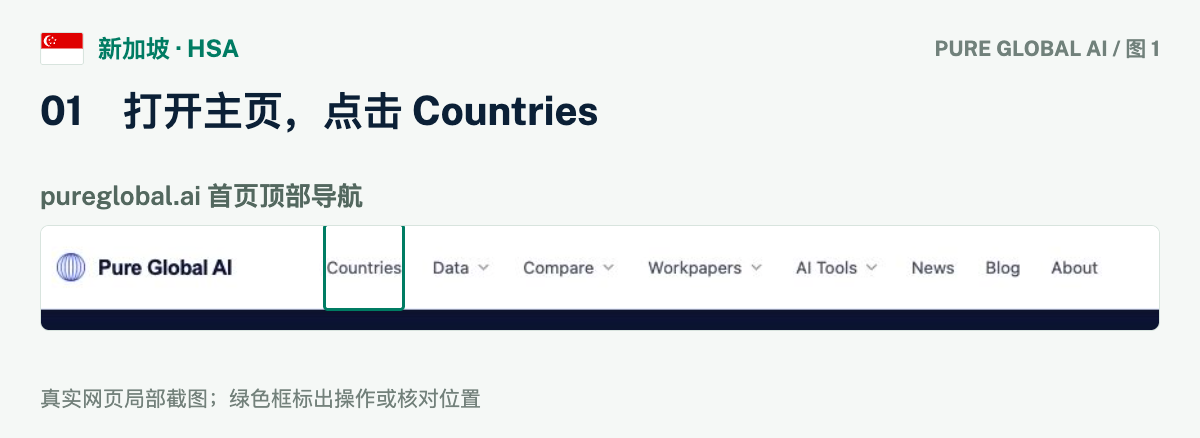 文章配图:PURE GLOBAL AI · 免费数据库查询指南(新加坡篇)