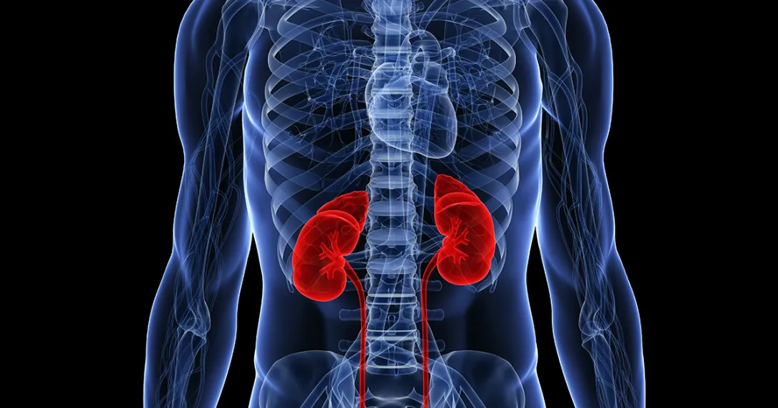 美国卫生部和ASN宣布新的KidneyX人工肾获得资金支持