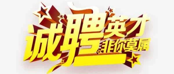 【招聘】高级软件工程师，快到 Pure碗里来！