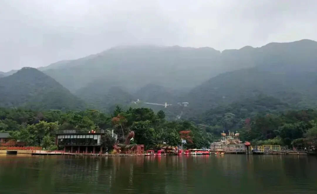 文章配图:同心同行,共绘蓝图!