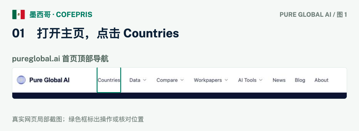 文章配图:PURE GLOBAL AI · 免费数据库查询指南(墨西哥篇)