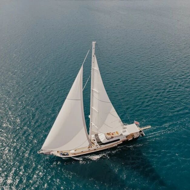 医械出海全流程解决方案出炉！普瑞纯证携手深圳医协、亚马逊云科技、亚马逊全球开店成功举办深圳医疗器械出海交流会