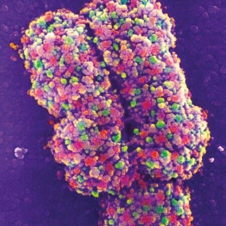 梳理 | 2022年需要重点关注的七大生物技术！