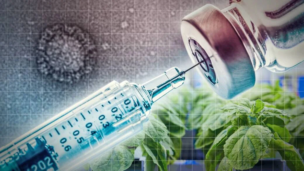 文章配图:全球首个! 植物性新冠疫苗效果显著!