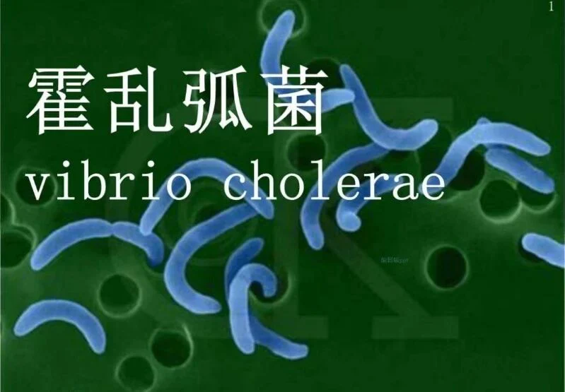 文章配图：又一传染病引发民众恐慌！专家：不会导致大流行