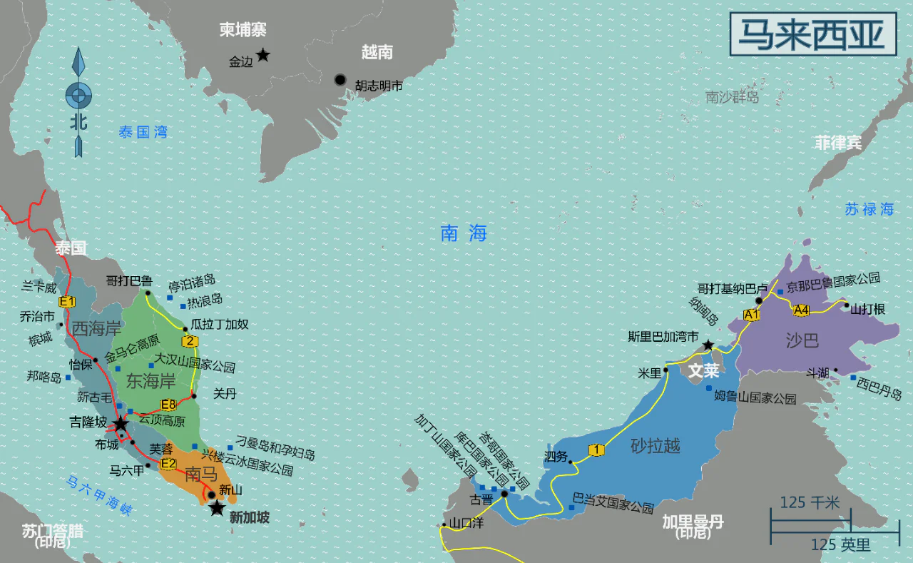 文章配图:马来西亚下证,肿瘤治疗“新星”——不可逆电穿孔