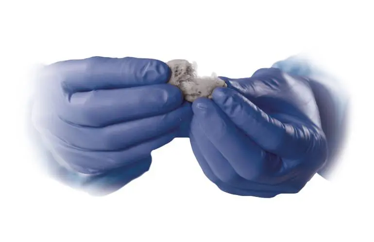 Orthofix细胞骨异体移植物在腰椎融合中获得数据支持