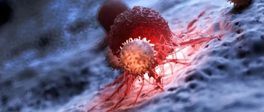 猴痘并发HIV、性传播感染的患病率？
