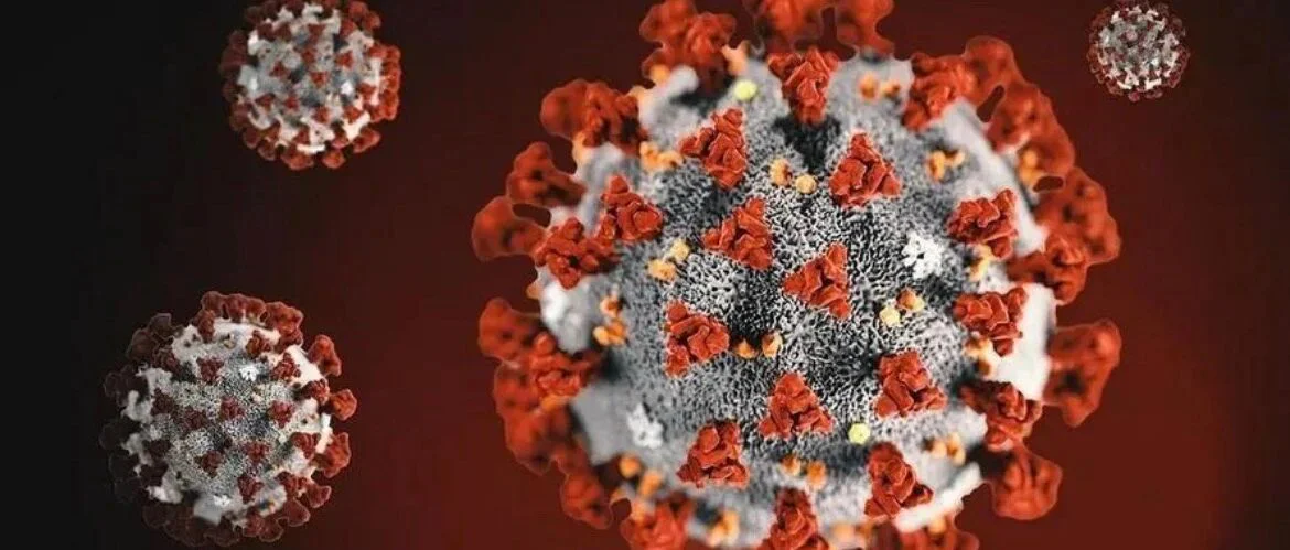 《Nature》：英国研究人员证实即使轻度感染新冠病毒，大脑也会发生显著变化