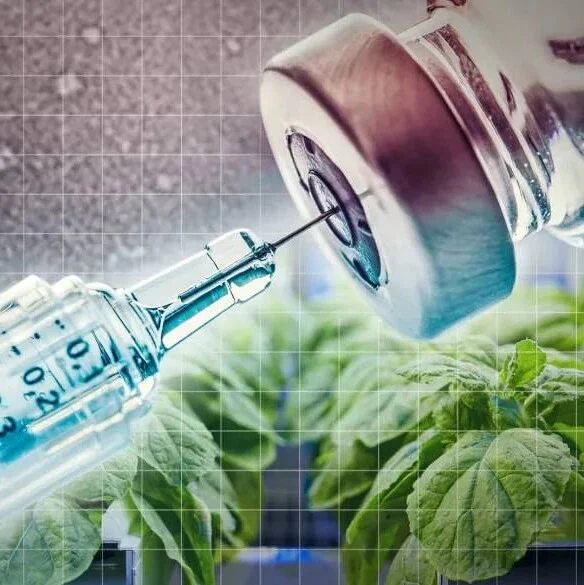 全球首个! 植物性新冠疫苗效果显著！