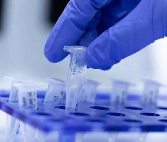 文章配图:FDA官宣:Tide 实验室已经可通过分子测试检测到Omicron变体