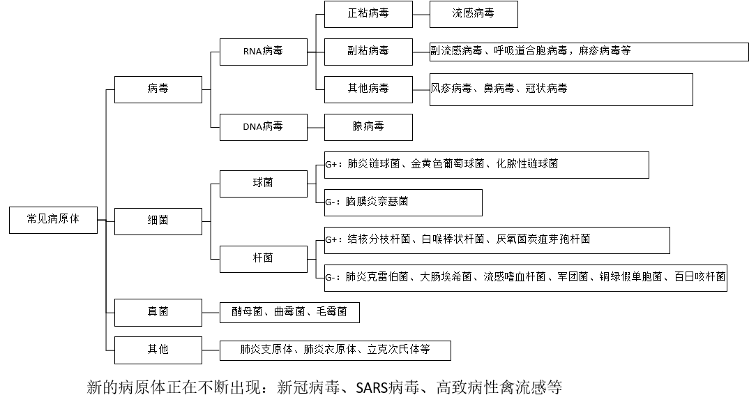 文章配图:上下呼吸道多联检市场,国内大战一触而发!