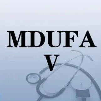 关注 | FDA将缩短审批时间，推进 《医疗器械用户费用修正案》第五版MDUFA V协议条款！