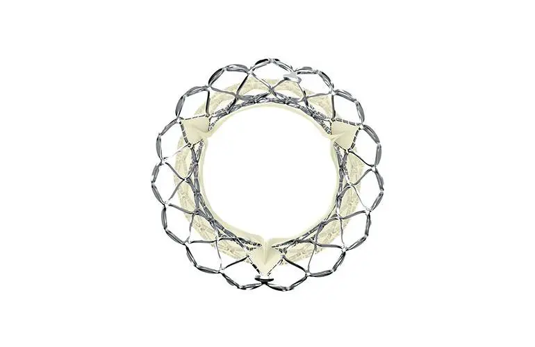 美敦力CoreValve Evolut TAVR植入物五年数据支持其耐用性