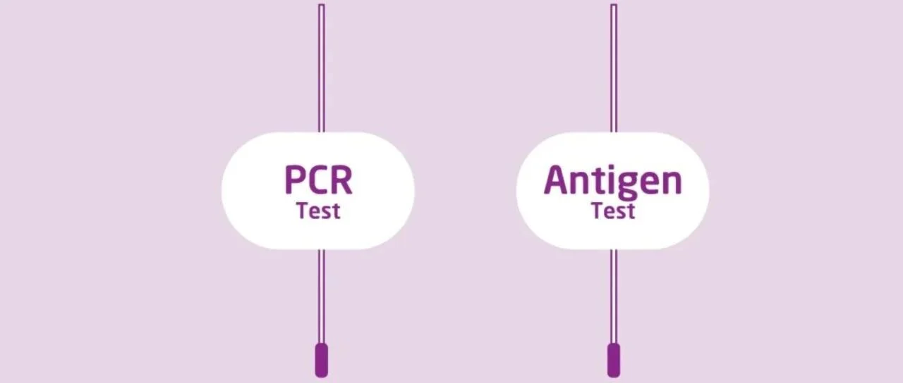Antigen是何方神圣，欧洲各国抢它抢疯了