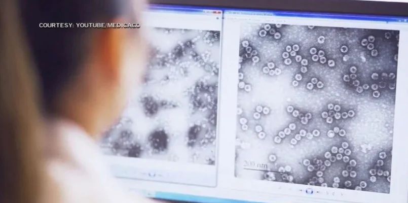 文章配图:全球首个! 植物性新冠疫苗效果显著!