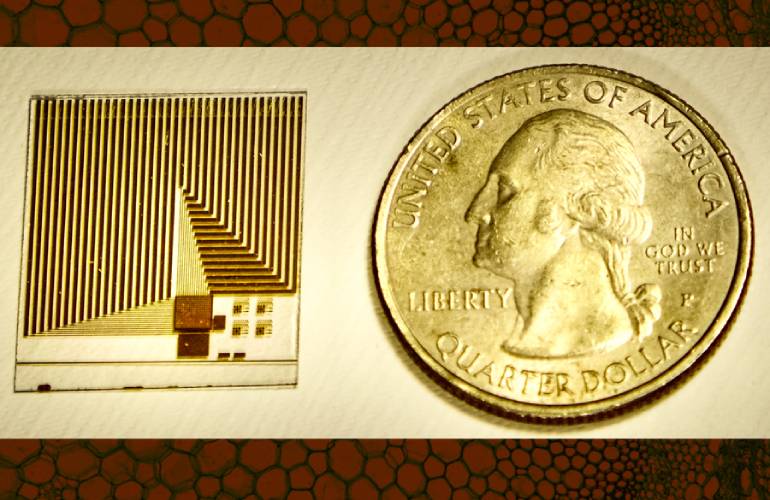 MIT研究人员研发仿生细胞膜功能传感器