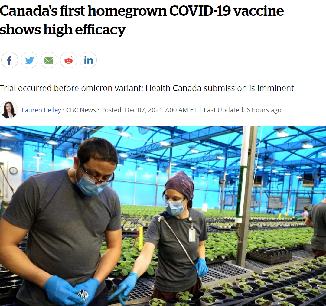 文章配图:全球首个! 植物性新冠疫苗效果显著!