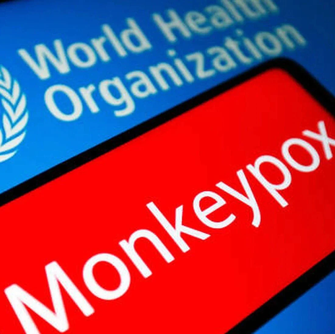 美国成全球猴痘病例最多的国家，专家：相信这次疫情已经失控！