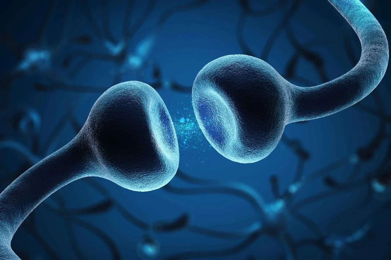 文章配图:对COVID-19患者的宏转录组研究显示患者的气道微生物组受干扰更严重