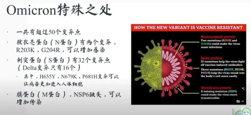 文章配图:PCR检测法检测到该变种?关于新冠变异毒株Omicron,你需要知道这些