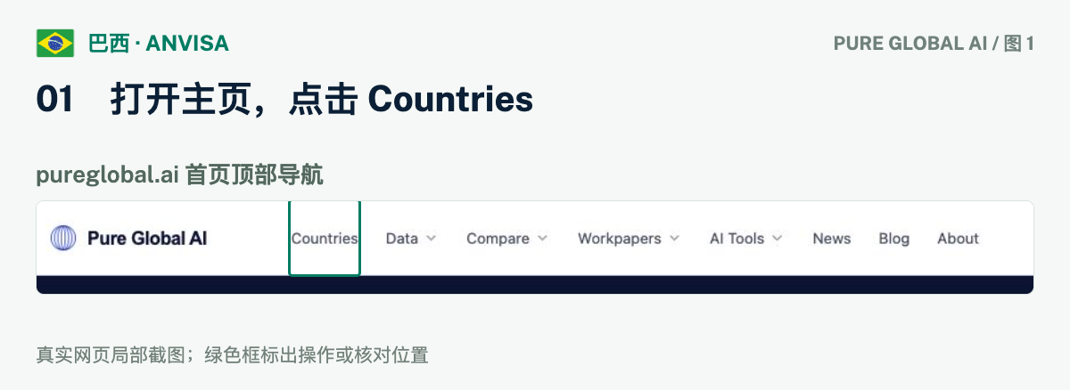 文章配图:PURE GLOBAL AI · 免费数据库查询指南(巴西篇)